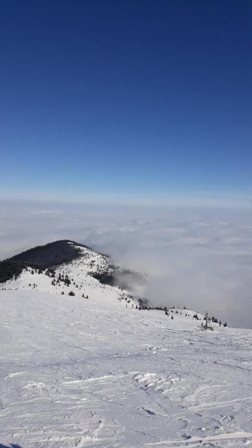Apartmán Kop Milmari P32 Kopaonik Exteriér fotografie