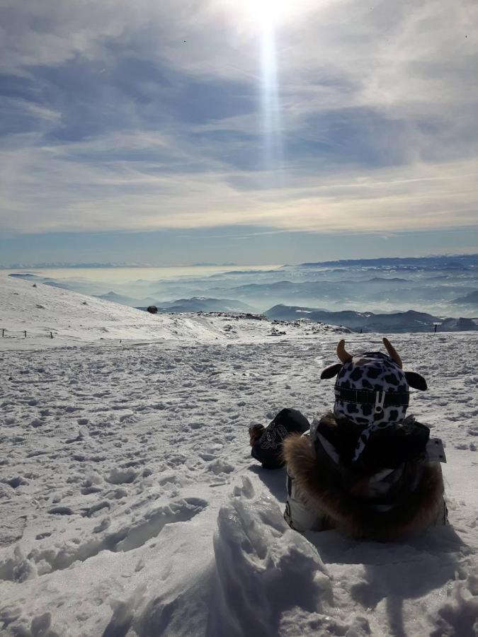 Apartmán Kop Milmari P32 Kopaonik Exteriér fotografie